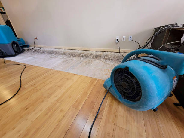Professional Water Damage Repair technician working in Rhome, TX
